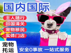 怀化芷江机场托运国际宠物托运 【国
